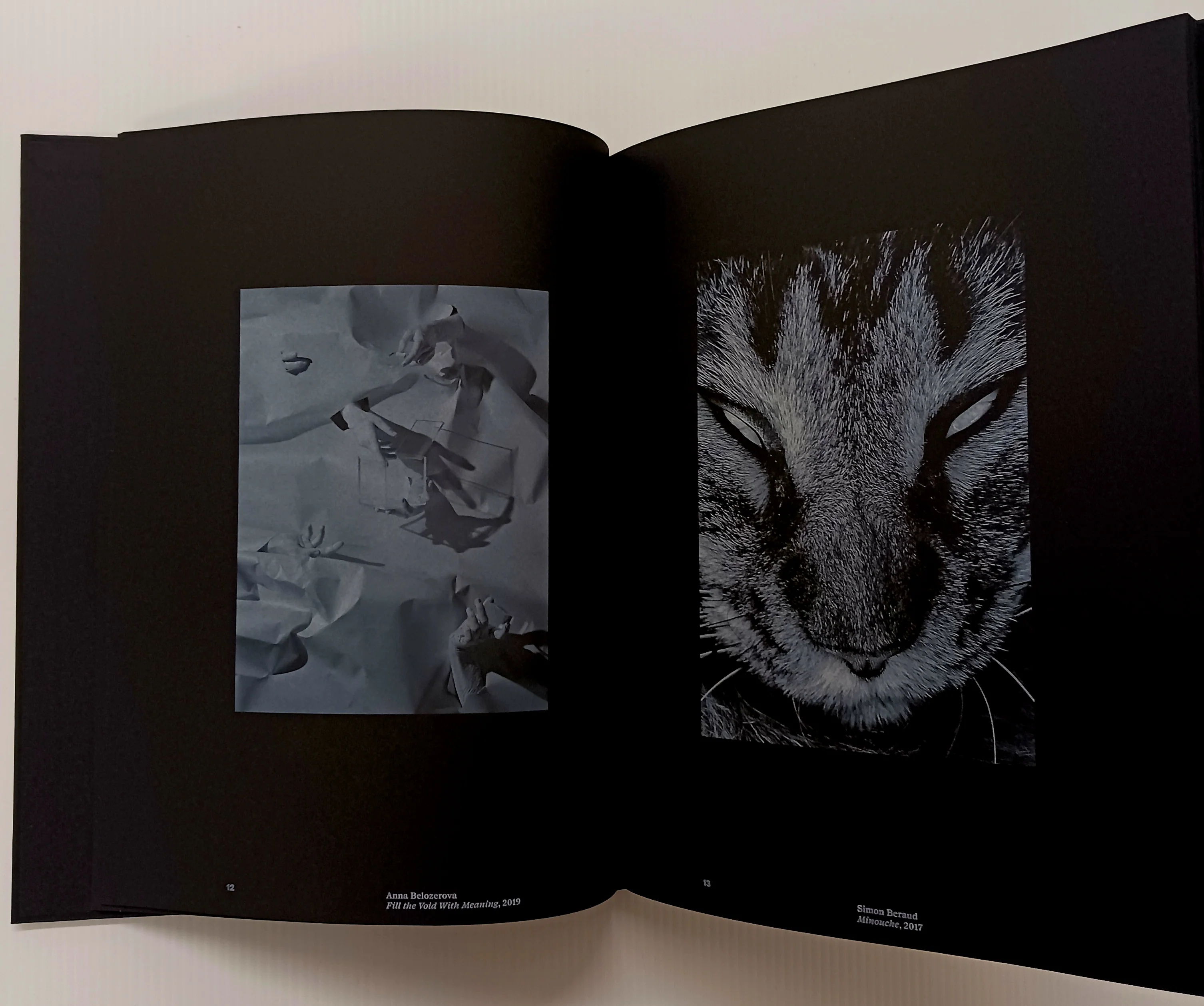 PRIMAL SIGHT - Efrem Zelony-Mindell, David Company, Gregory Eddi Jones - Image 6