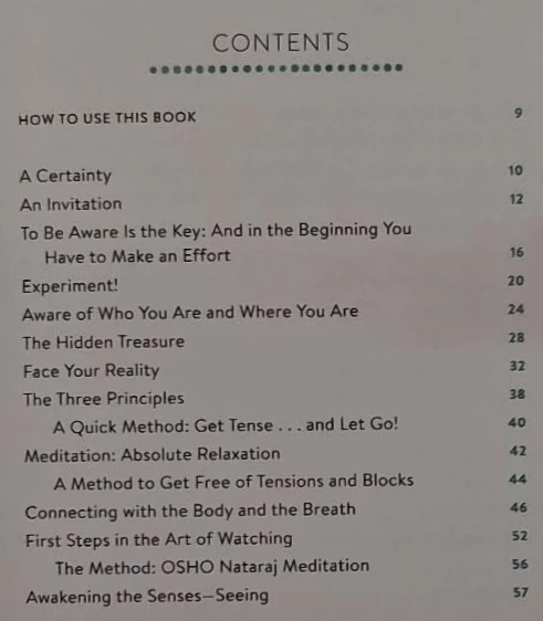 COMING HOME TO YOURSELF - Osho - Image 5
