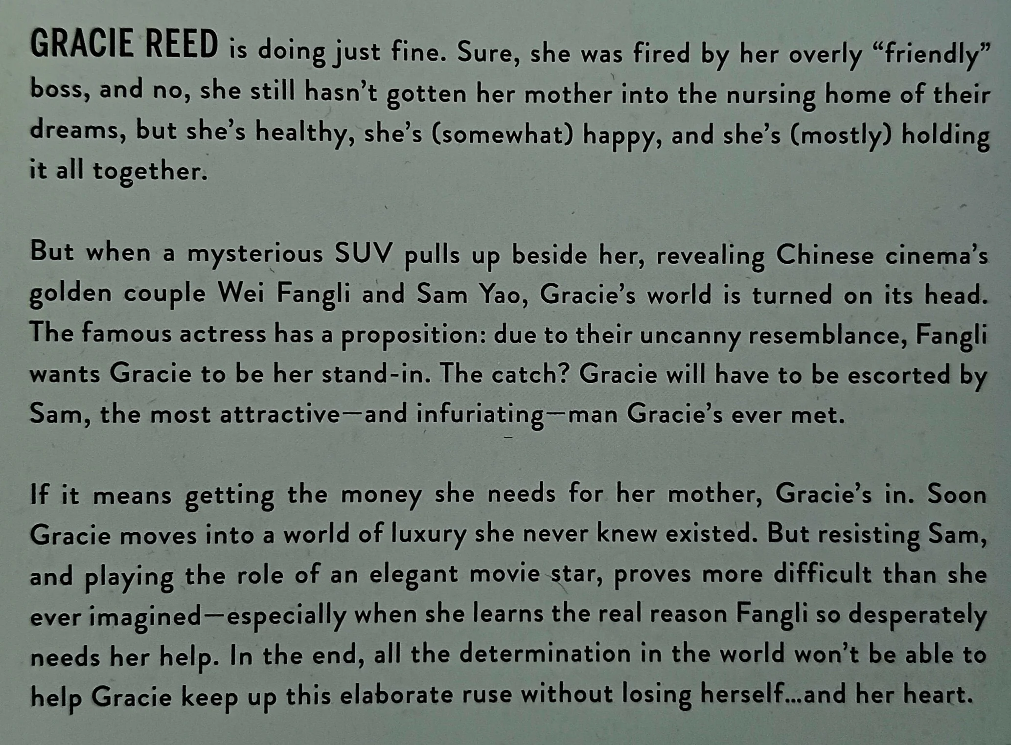 THE STAND-IN - Lily Chu - Image 3