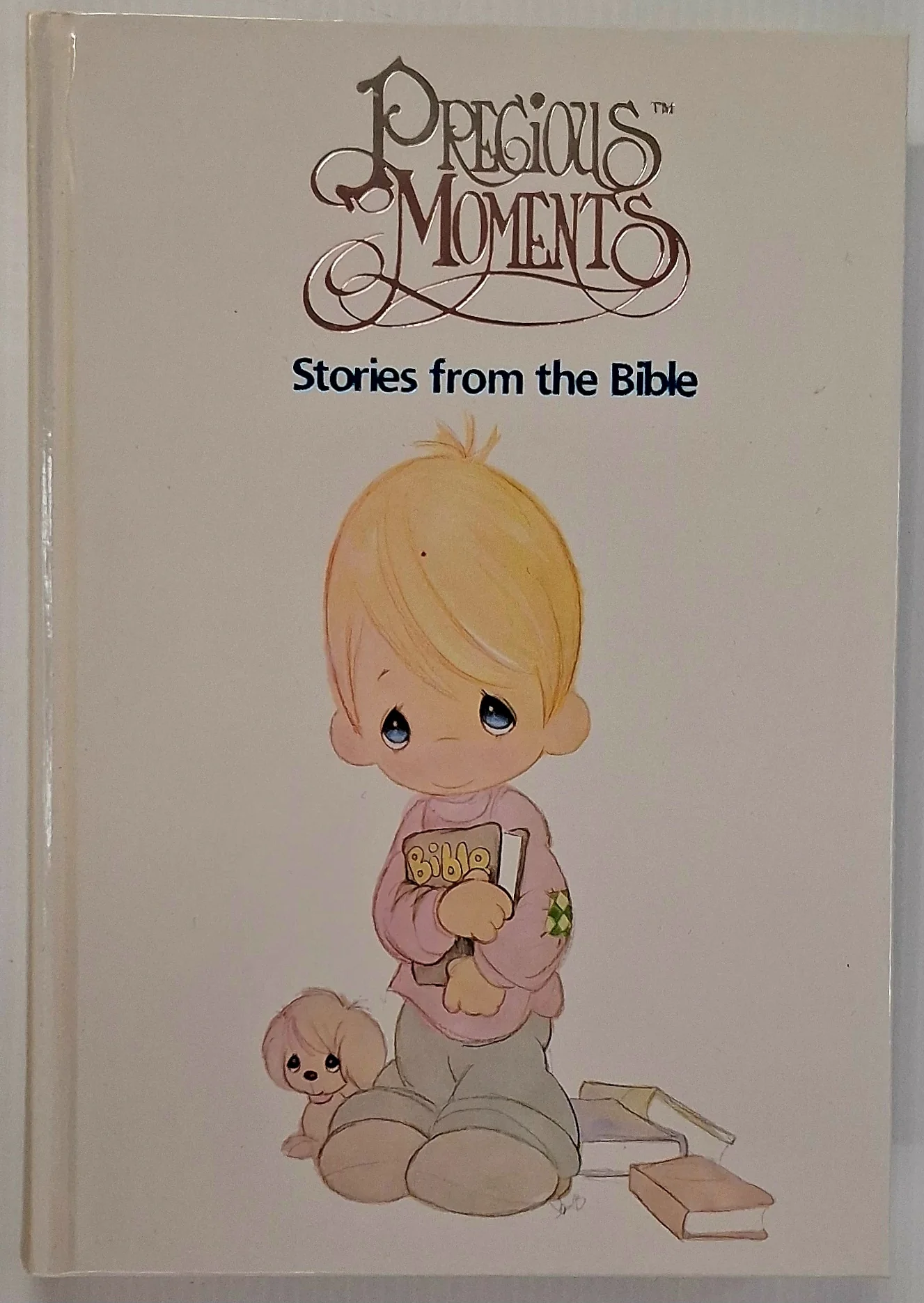 STORIES FROM THE BIBLE - Samuel J. Butcher, Sheri Dunham Haan