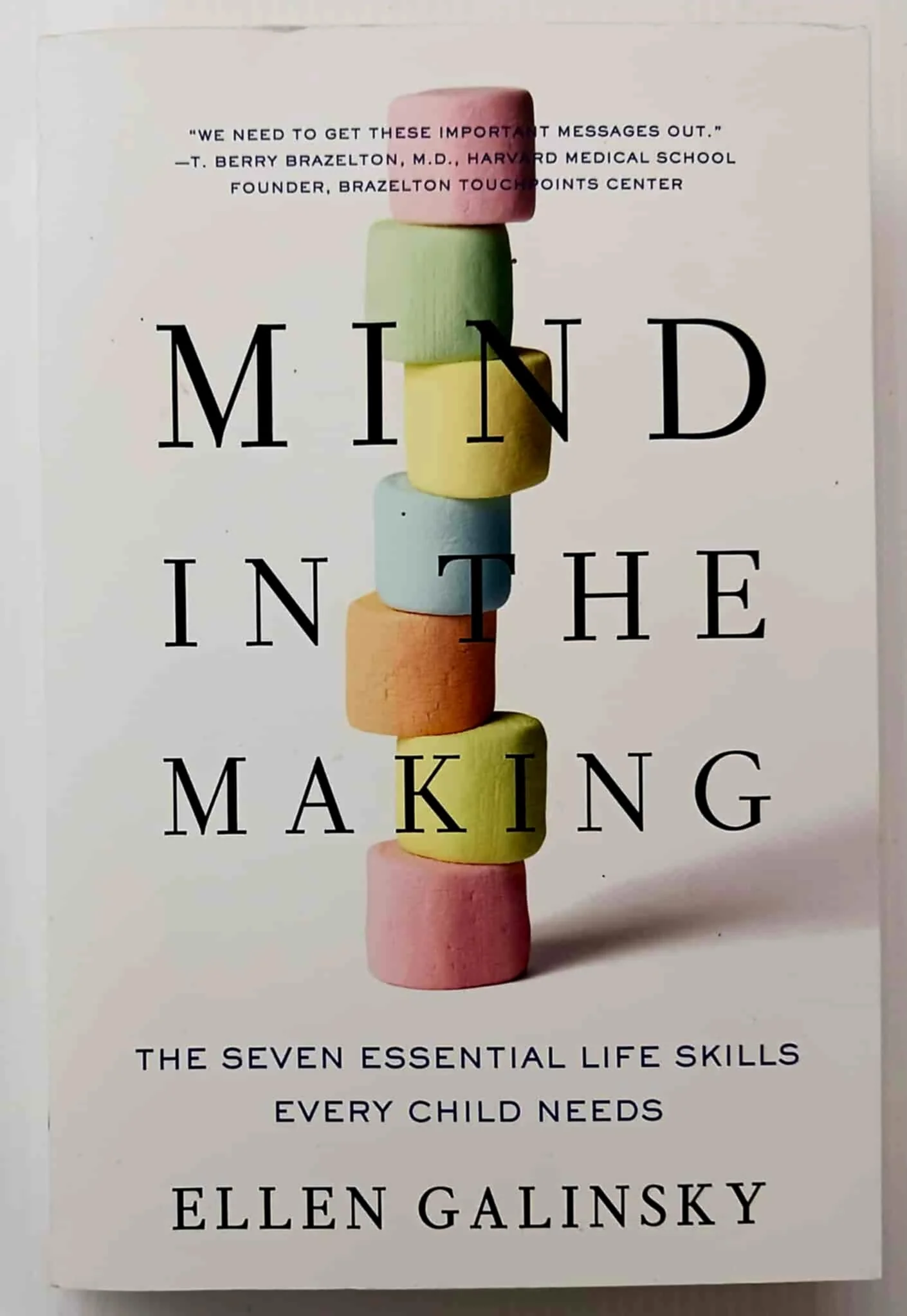 MIND IN THE MAKING - Ellen Galinsky