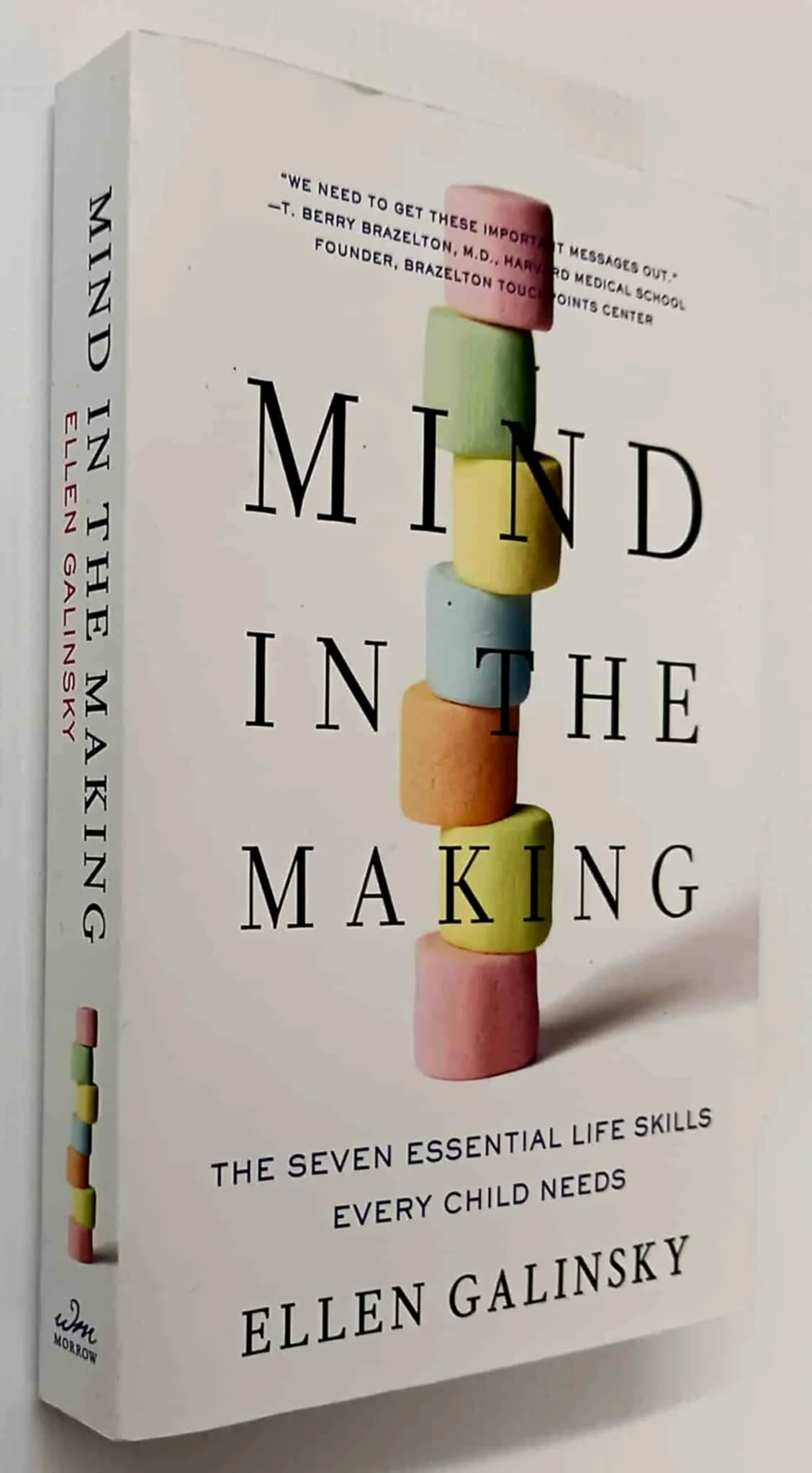 MIND IN THE MAKING - Ellen Galinsky - Image 5