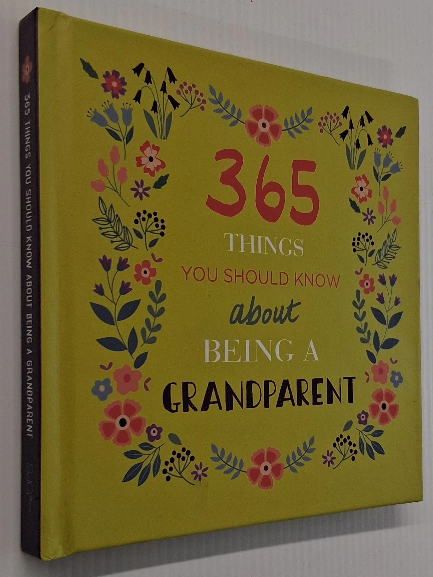 365 THINGS YOU SHOULD KNOW ABOUT BEING A GRANDPARENT - Michael Powell - Image 6