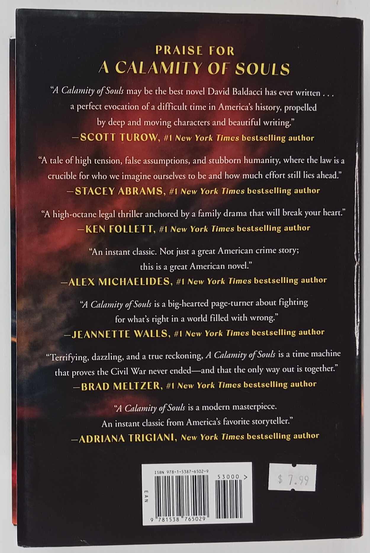A CALAMITY OF SOULS - David Baldacci - Image 2