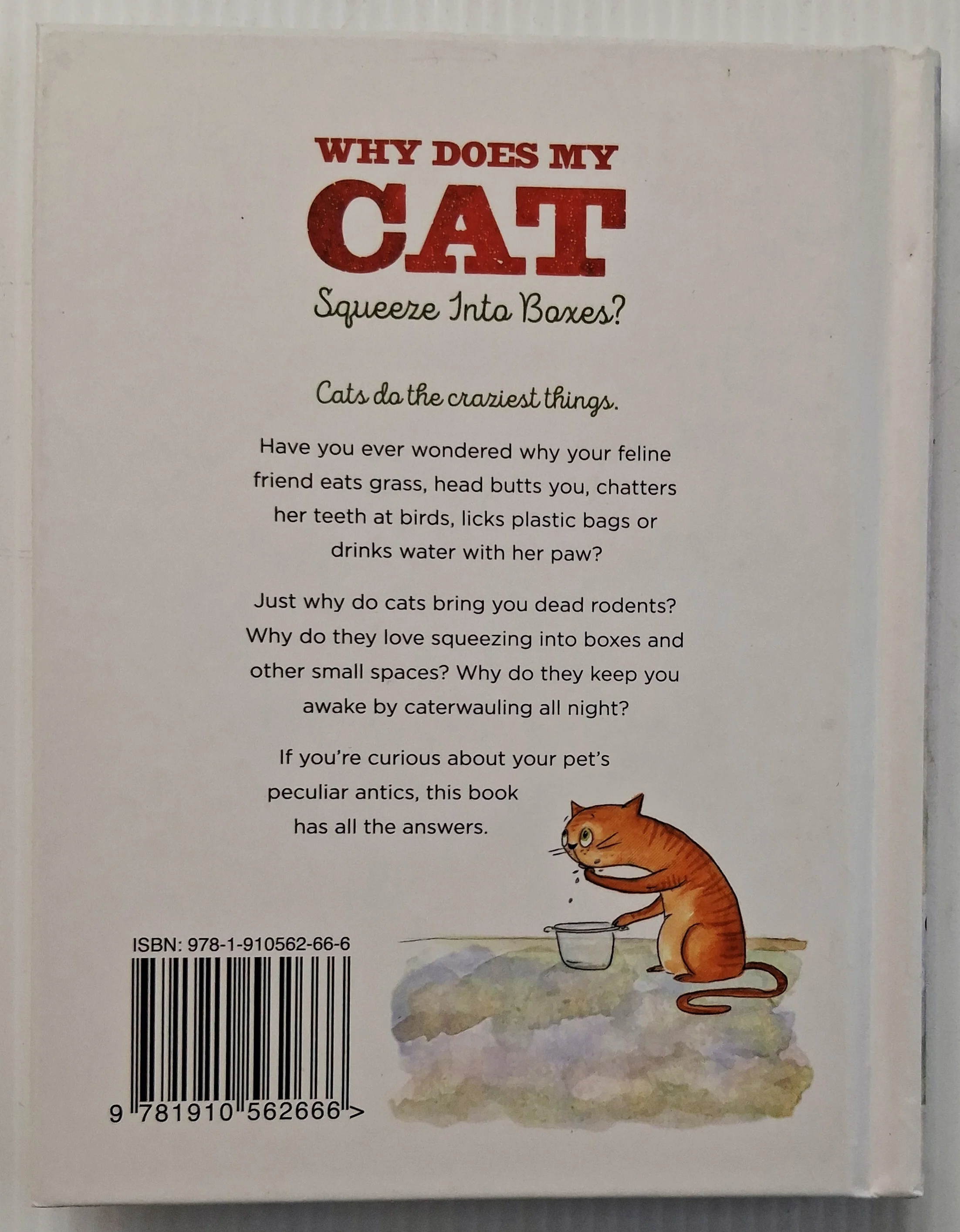 WHY DOES MY CAT SQUEEZE INTO BOXES? - Michael Powell - Image 2