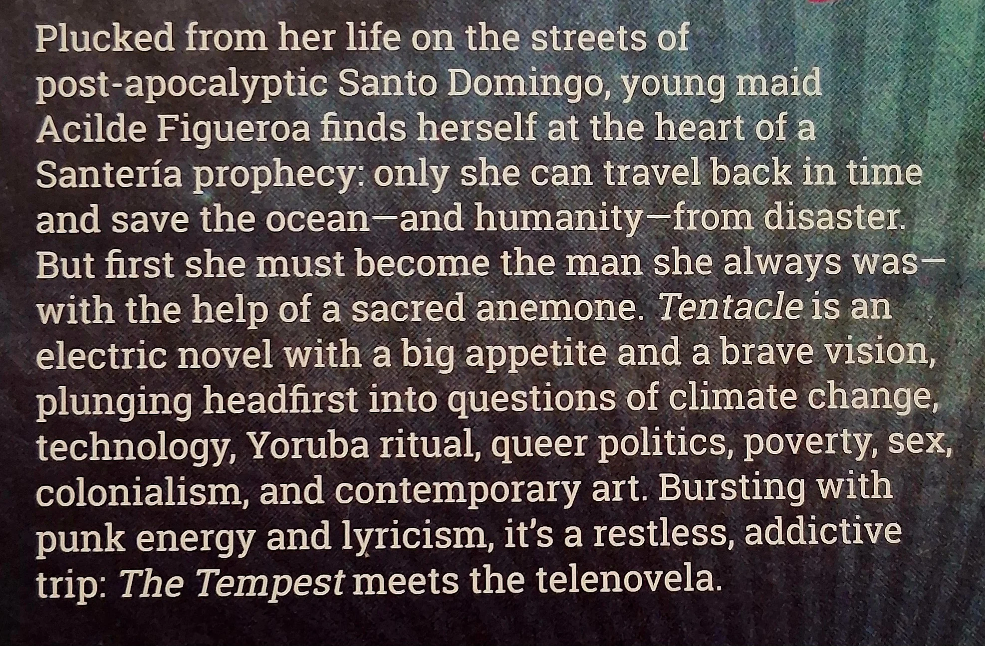 TENTACLE - Rita Indiana - Image 3