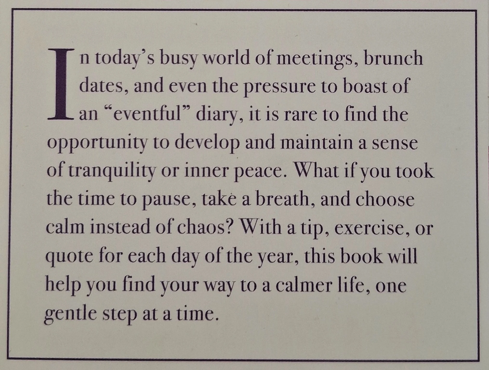 EVERYDAY CALM - Octopus Books - Image 3