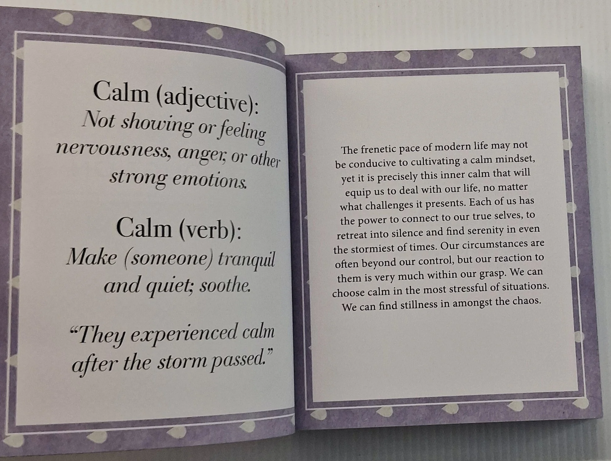 EVERYDAY CALM - Octopus Books - Image 4