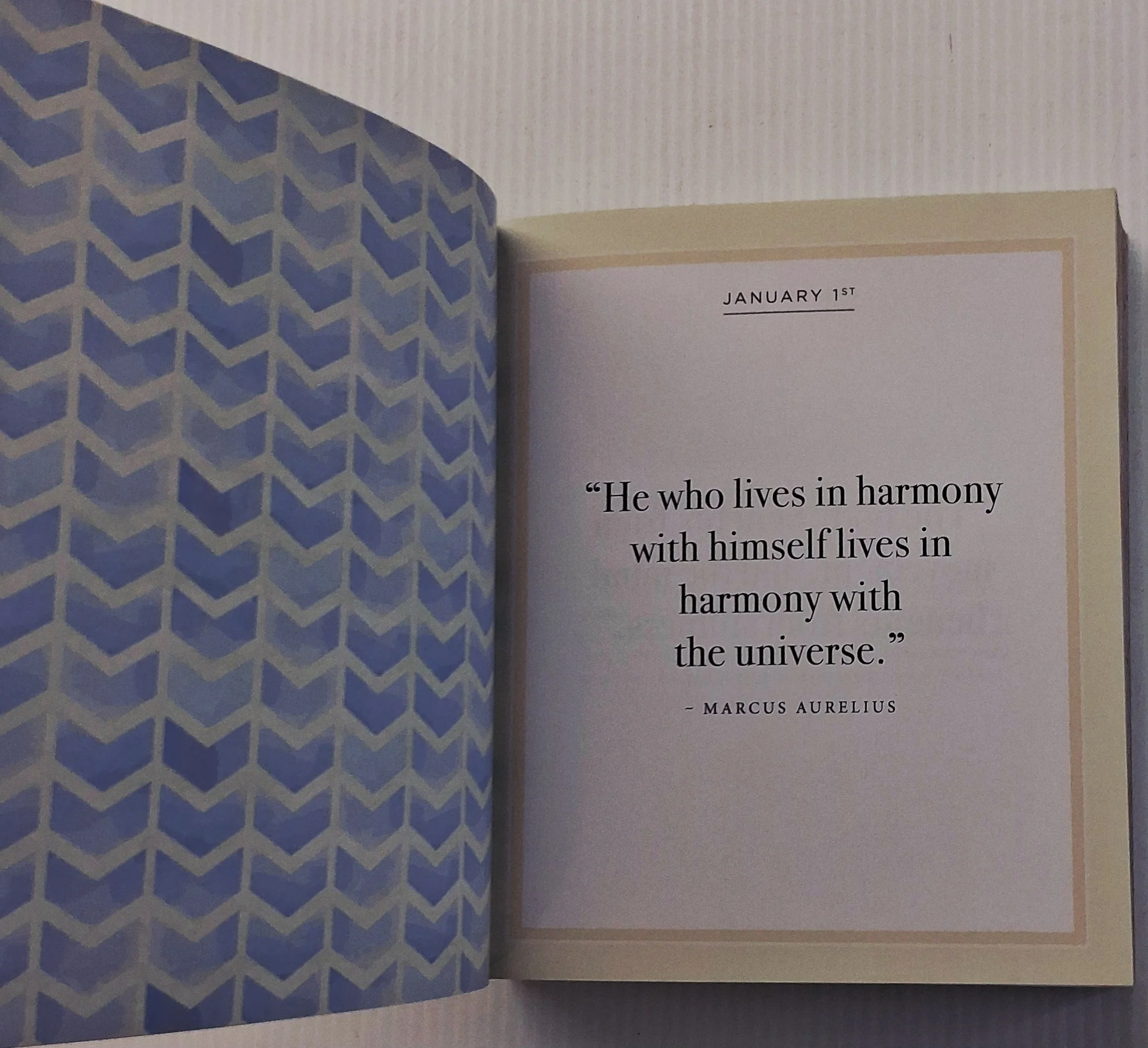 EVERYDAY CALM - Octopus Books - Image 5