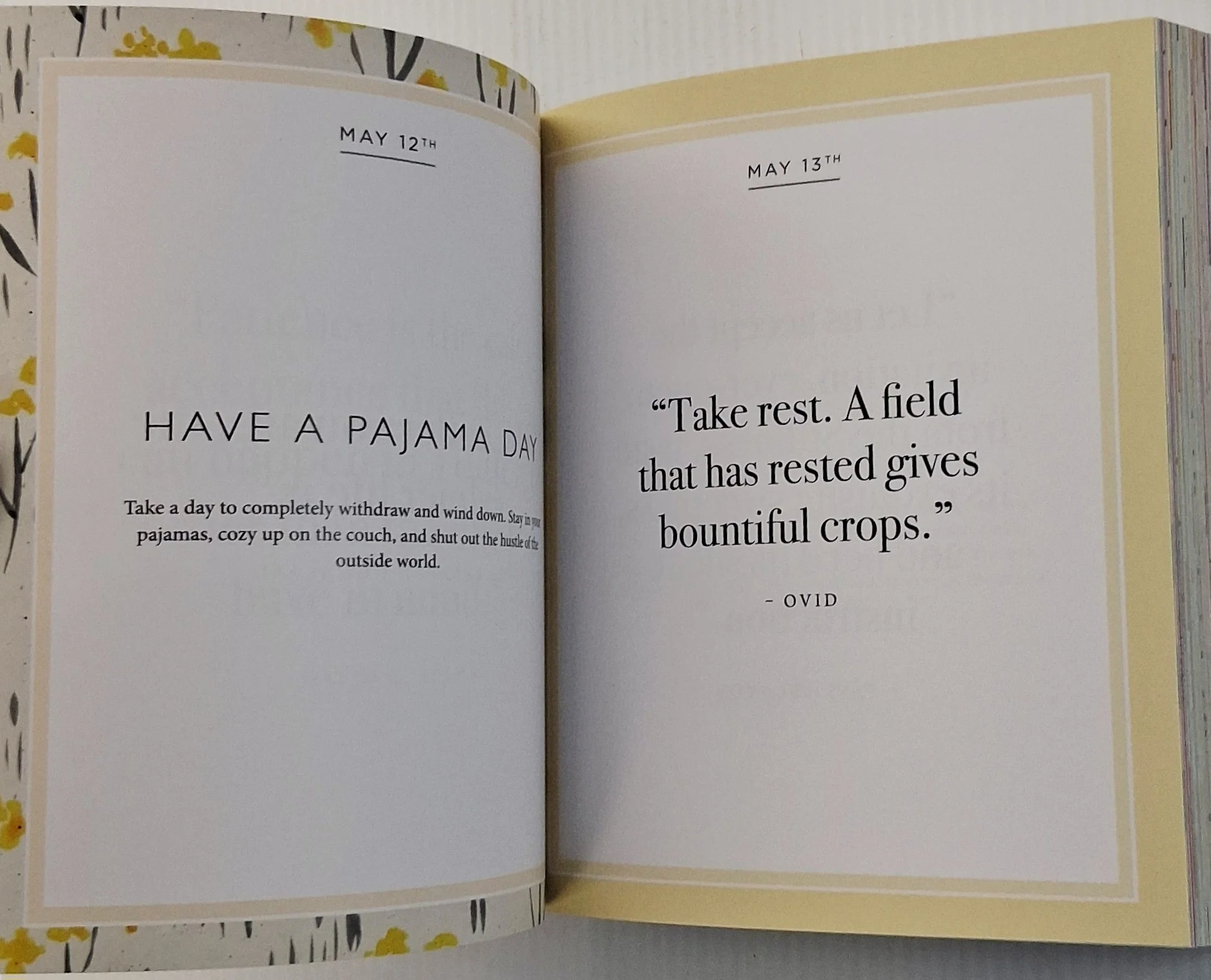 EVERYDAY CALM - Octopus Books - Image 7