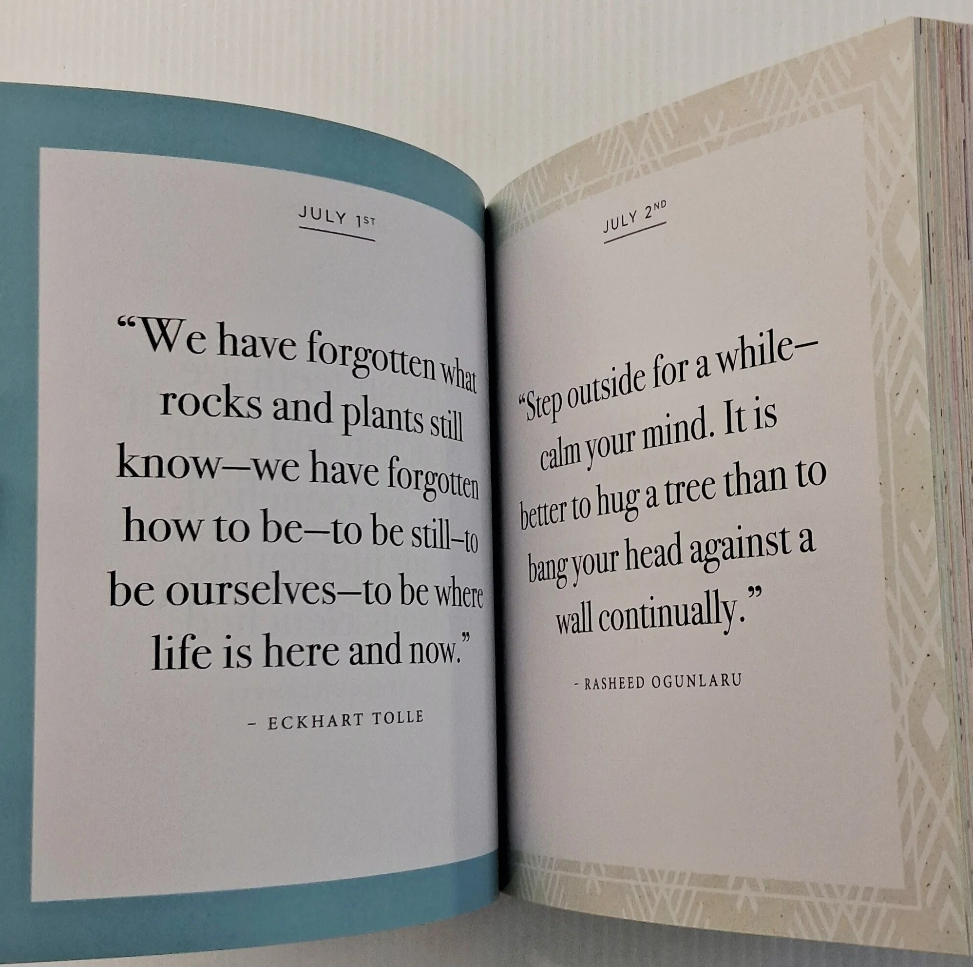EVERYDAY CALM - Octopus Books - Image 8