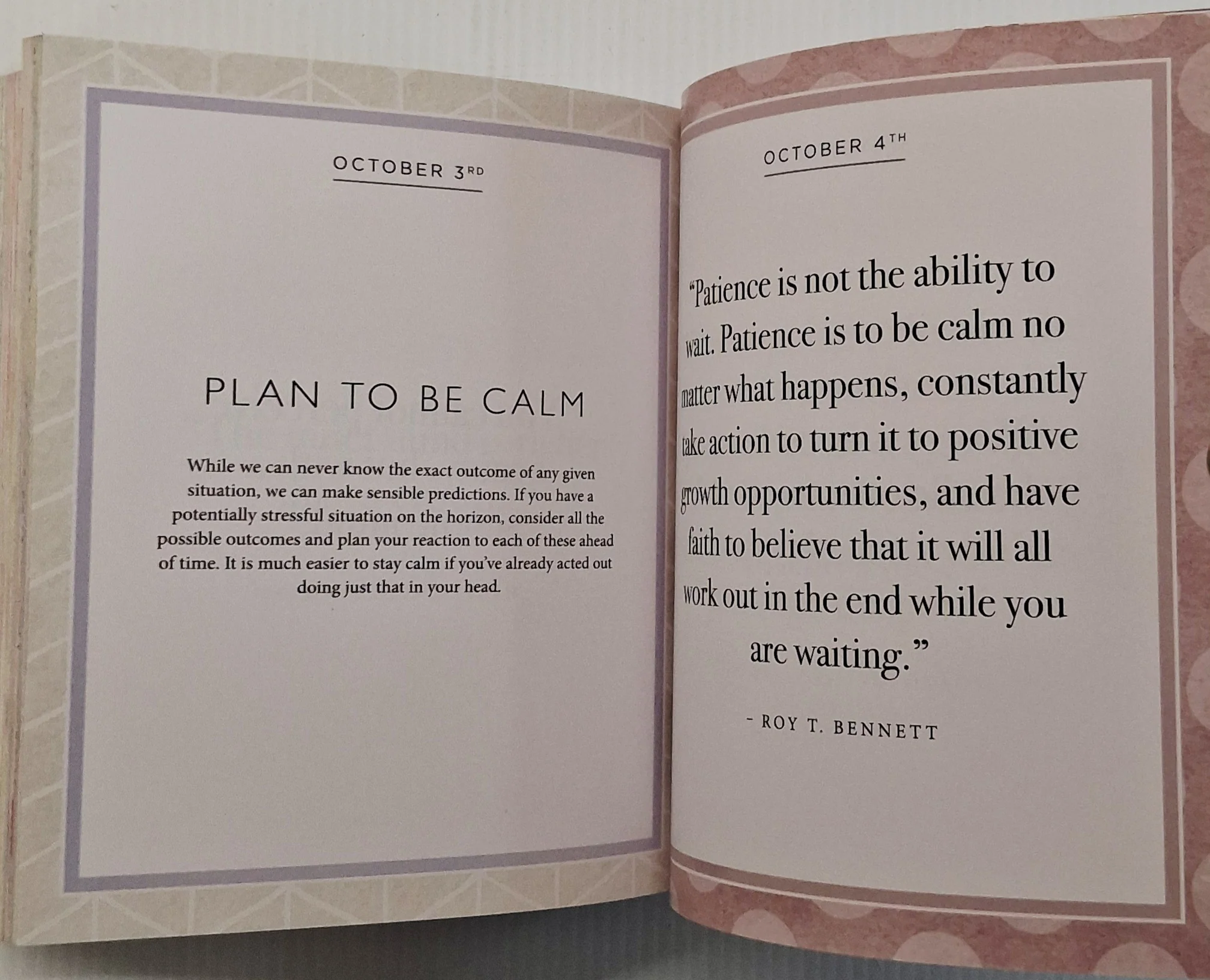 EVERYDAY CALM - Octopus Books - Image 9