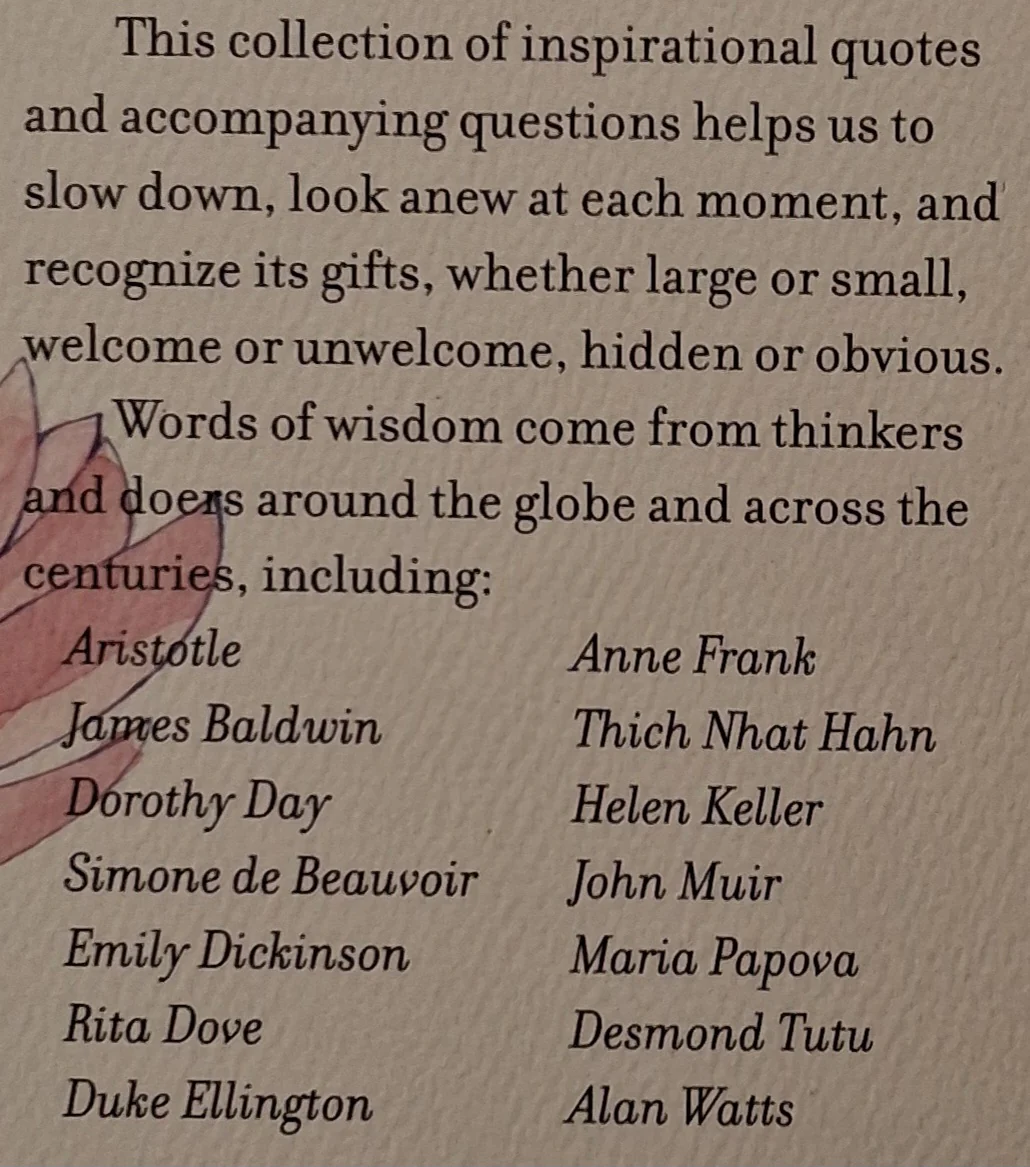 EVERYDAY GRATITUDE - A Network for Grateful Living, David Steindl-Rast, Kristi Nelson - Image 3