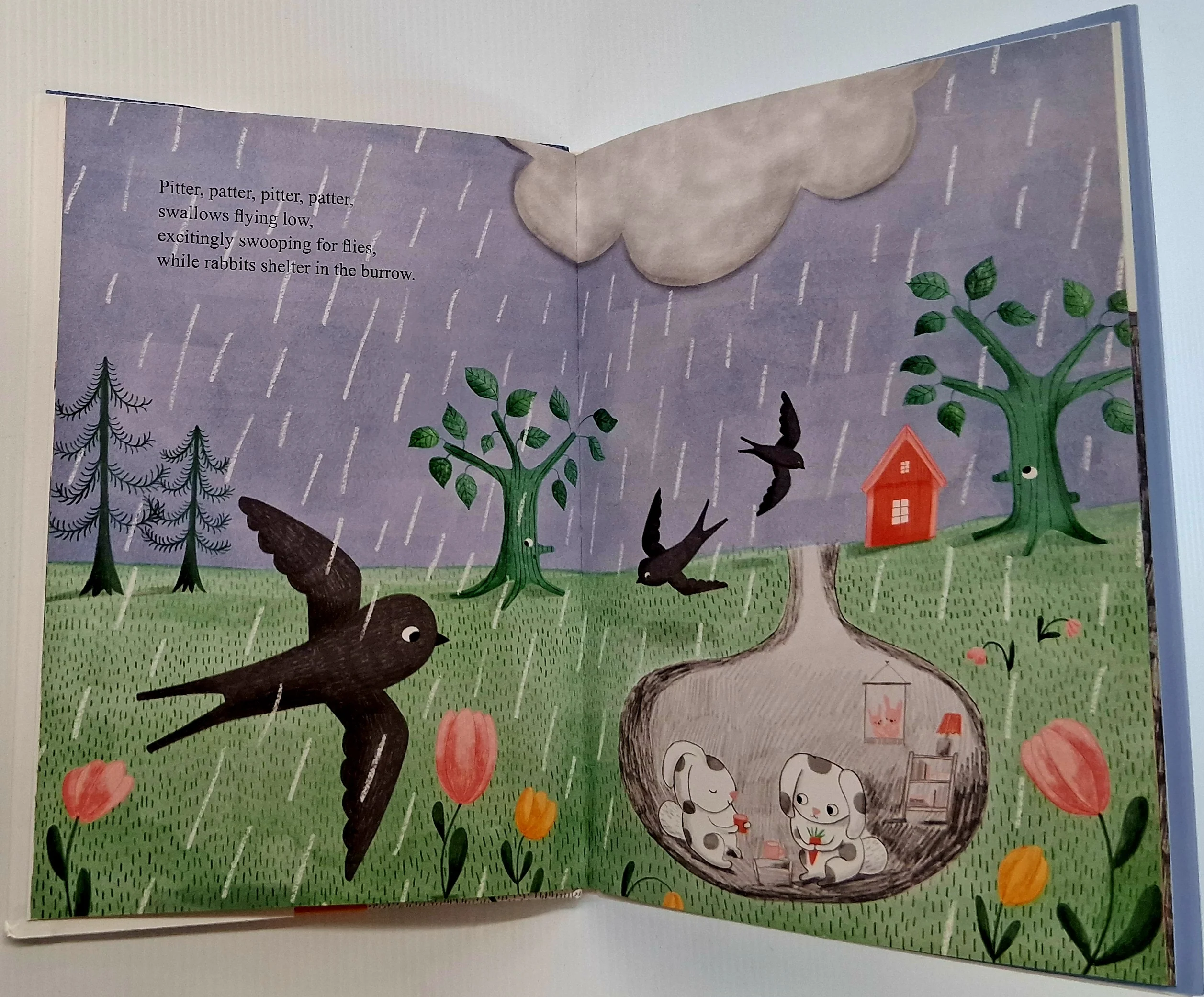 PITTER PATTER GOES THE RAIN - Ellen DeLange - Image 5