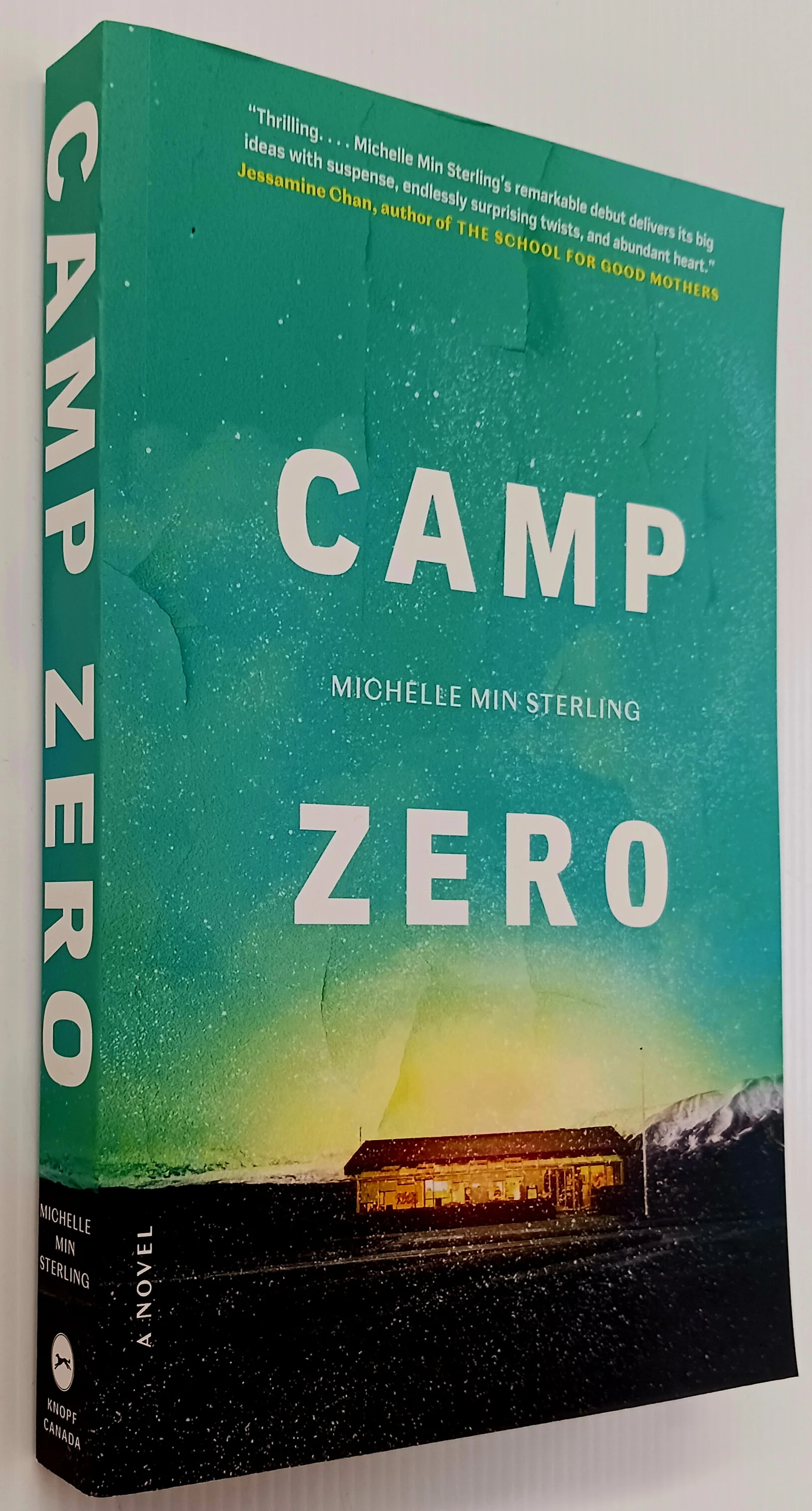 CAMP ZERO - Michelle Min-Sterling - Image 4