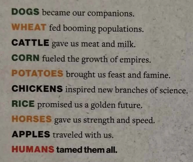 TAMED - Alice Roberts - Image 3