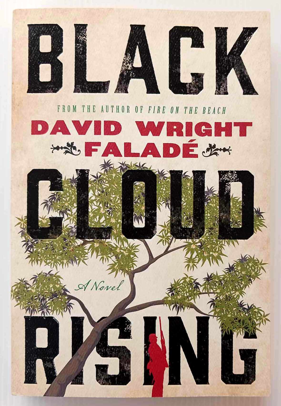 BLACK CLOUD RISING - David Wright Falade