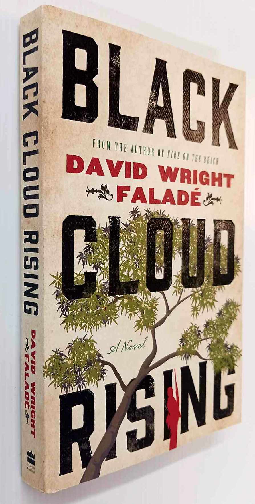 BLACK CLOUD RISING - David Wright Falade - Image 4