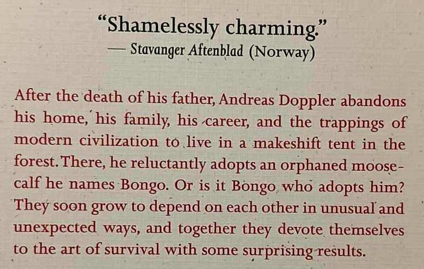 DOPPLER - Erlend Loe - Image 3