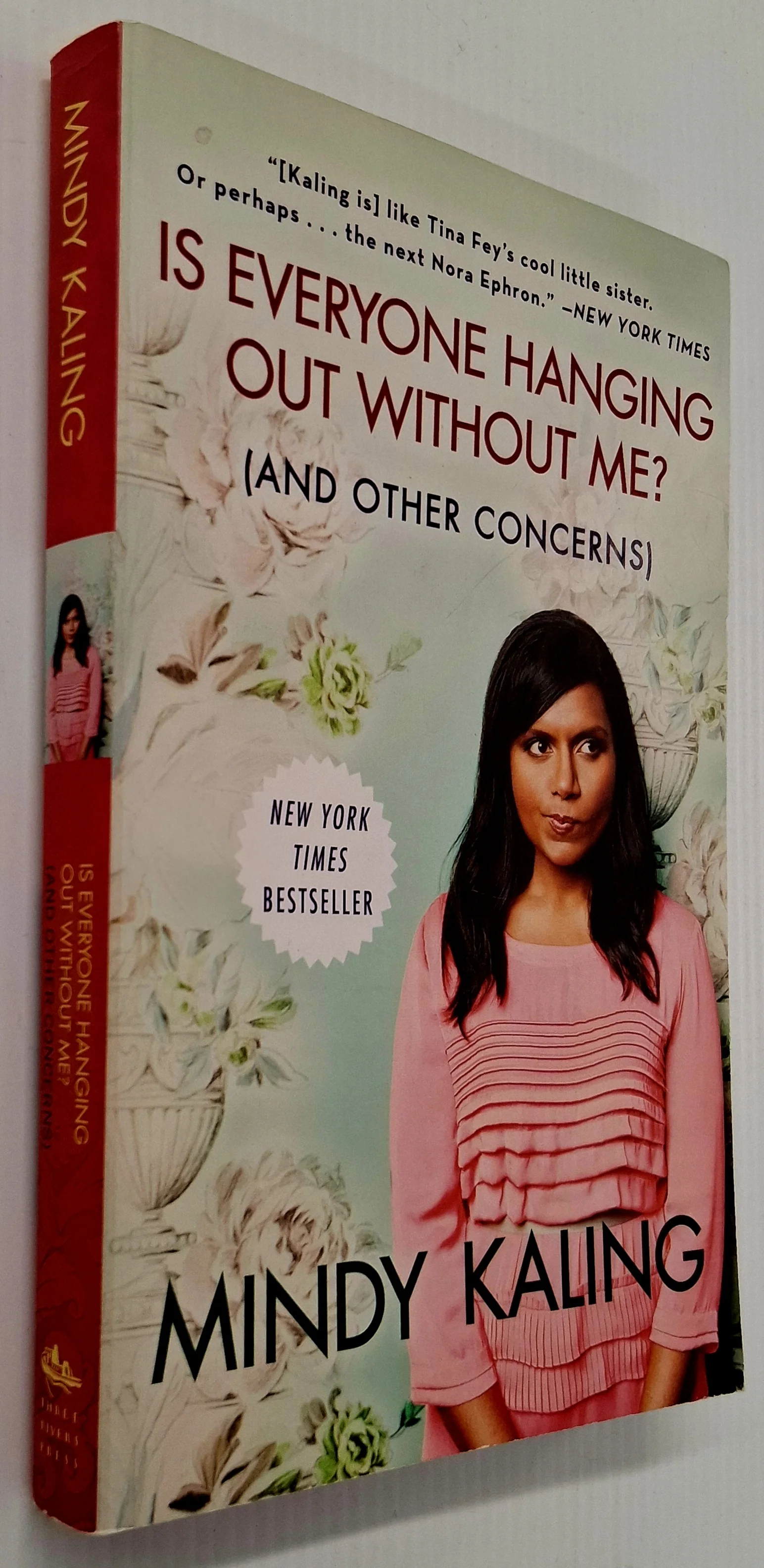 IS EVERYONE HANGING OUT WITHOUT ME? (AND OTHER CONCERNS) - Mindy Kaling - Image 7