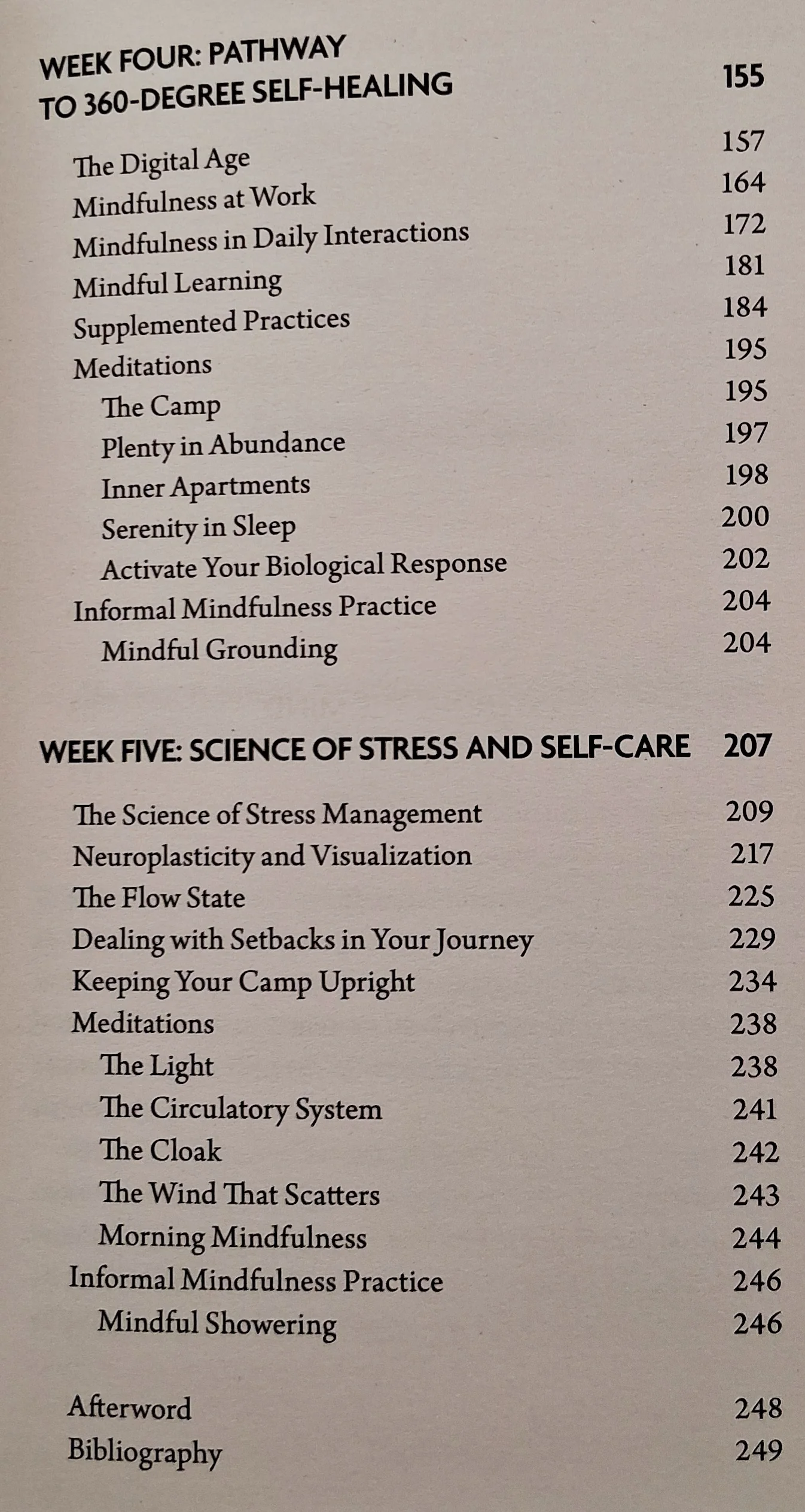 MINDFUL HEALING - Afrosa Ahmed - Image 6
