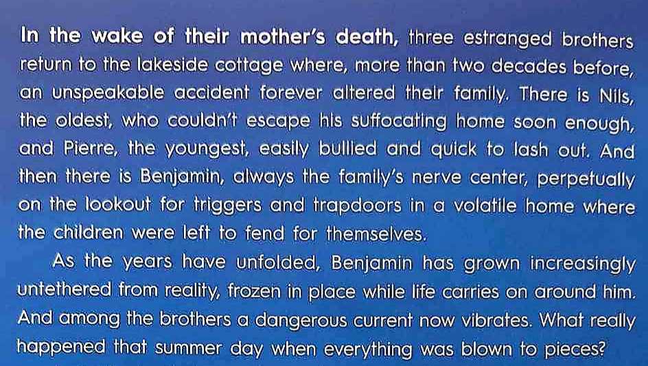 THE SURVIVORS - Alex Schulman - Image 3
