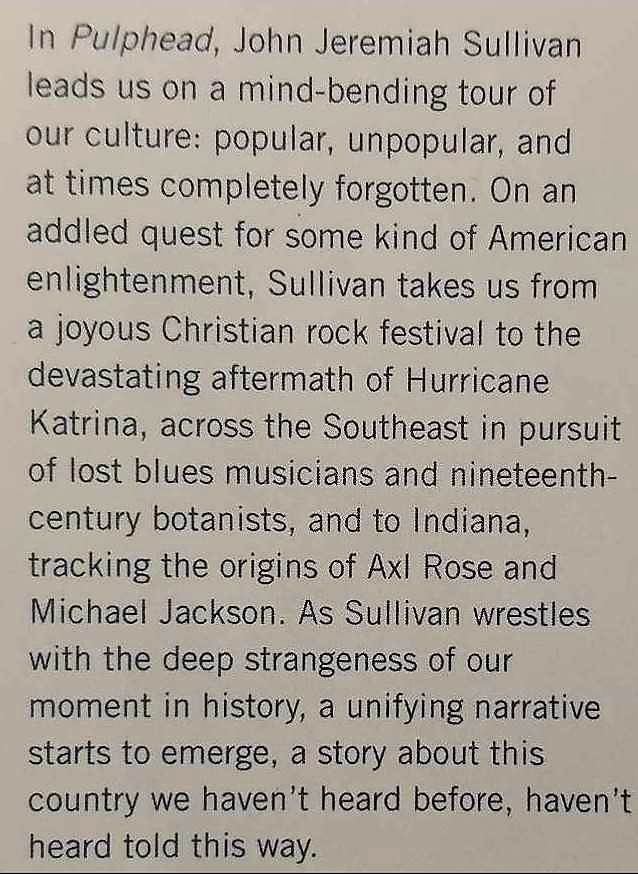 PULPHEAD - John Jeremiah Sullivan - Image 3