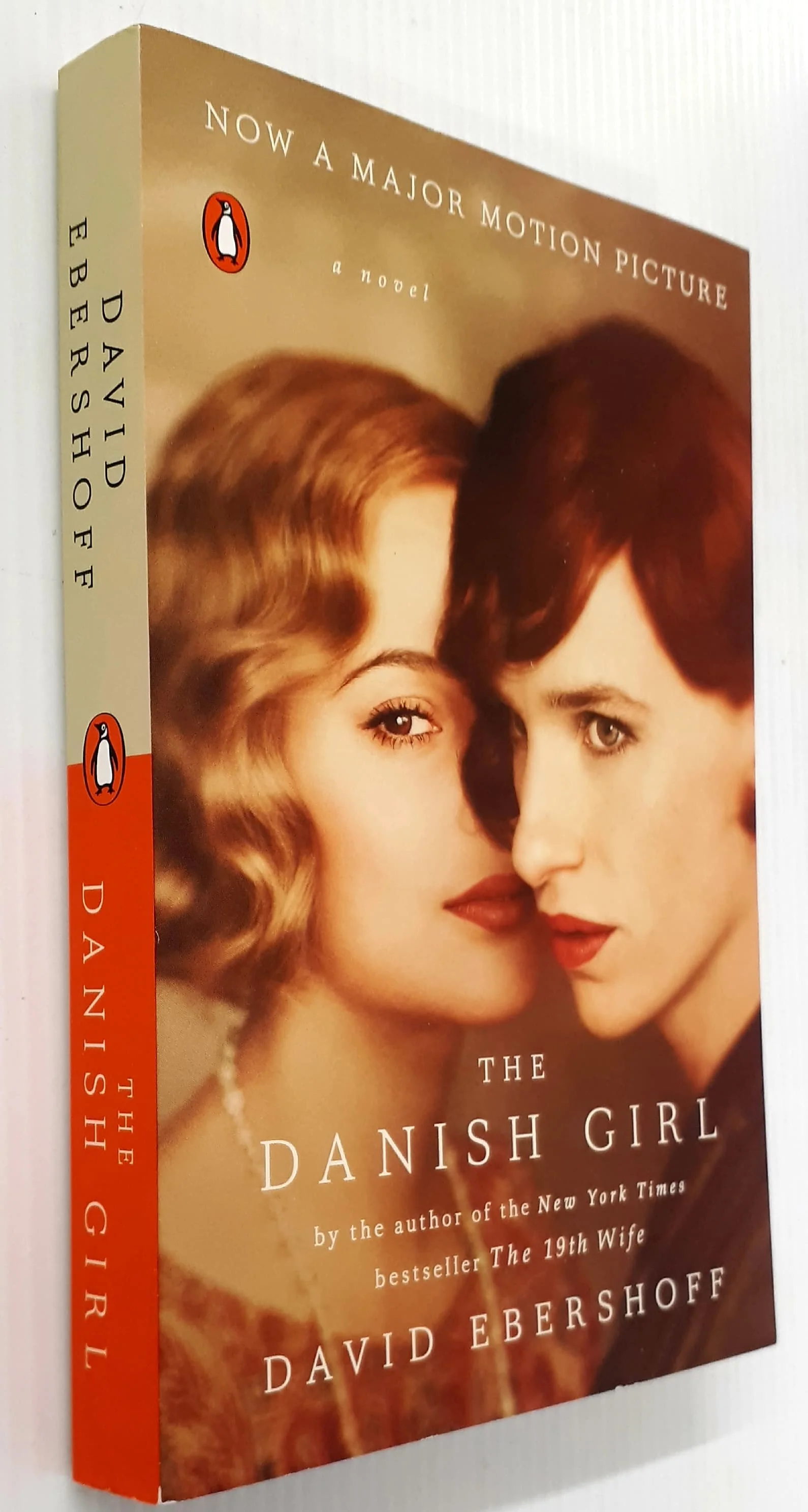THE DANISH GIRL - David Ebershoff - Image 4