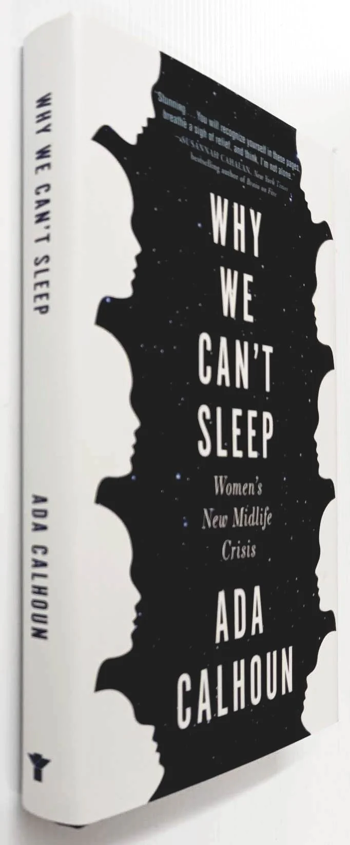 WHY WE CAN'T SLEEP - Ada Calhoun - Image 5